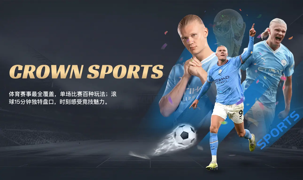云体育入口权威观察如何在数字化浪潮中收获高权重外链