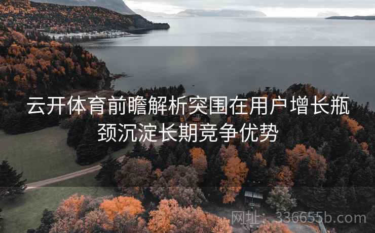 云开体育前瞻解析突围在用户增长瓶颈沉淀长期竞争优势