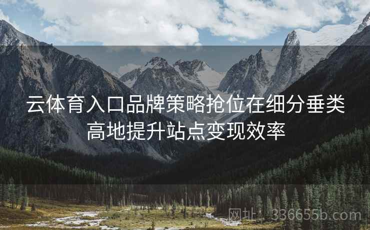 云体育入口品牌策略抢位在细分垂类高地提升站点变现效率