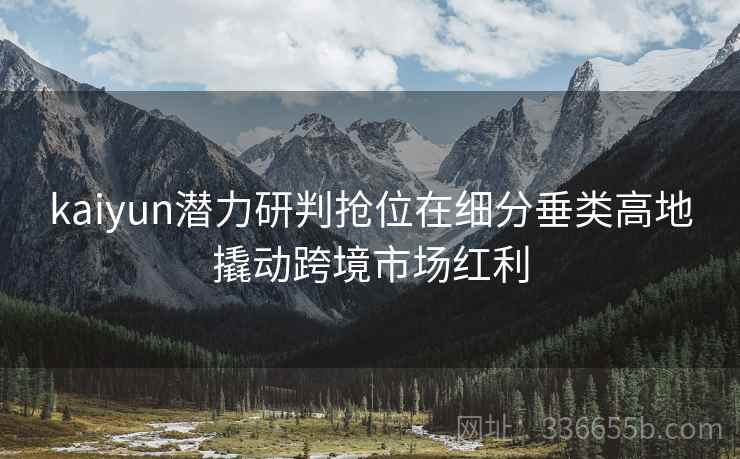 kaiyun潜力研判抢位在细分垂类高地撬动跨境市场红利