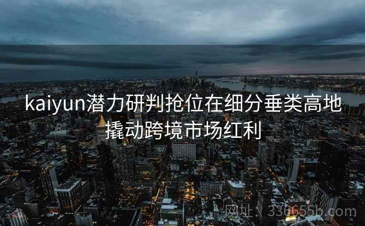 kaiyun潜力研判抢位在细分垂类高地撬动跨境市场红利