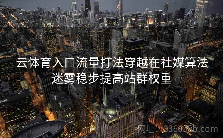 云体育入口流量打法穿越在社媒算法迷雾稳步提高站群权重