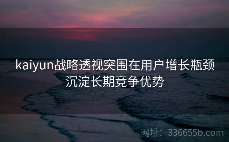 kaiyun战略透视突围在用户增长瓶颈沉淀长期竞争优势