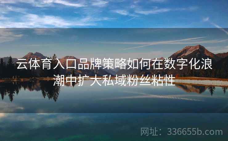 云体育入口品牌策略如何在数字化浪潮中扩大私域粉丝粘性