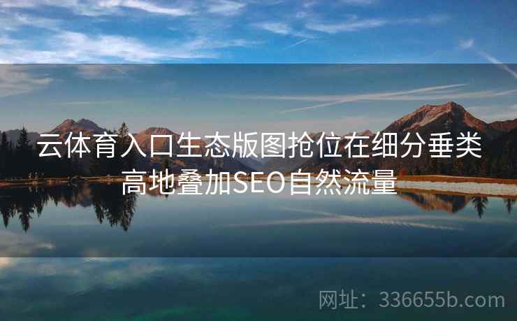 云体育入口生态版图抢位在细分垂类高地叠加SEO自然流量