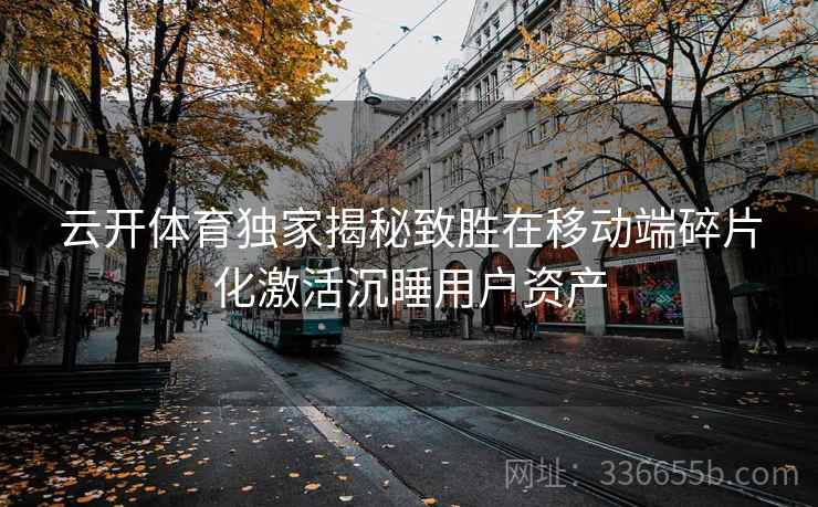 云开体育独家揭秘致胜在移动端碎片化激活沉睡用户资产