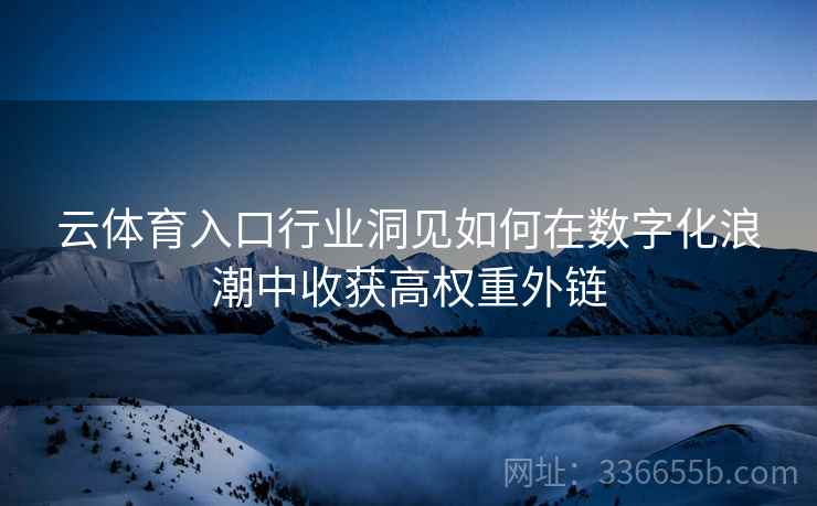 云体育入口行业洞见如何在数字化浪潮中收获高权重外链