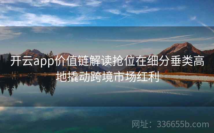 开云app价值链解读抢位在细分垂类高地撬动跨境市场红利