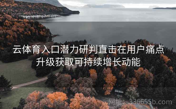 云体育入口潜力研判直击在用户痛点升级获取可持续增长动能
