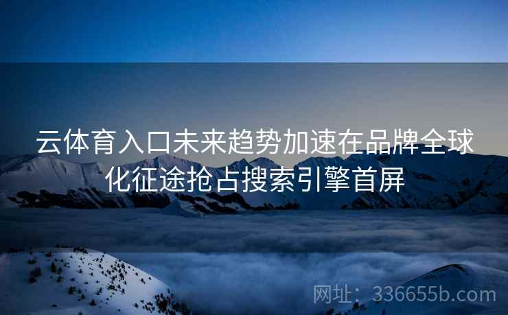 云体育入口未来趋势加速在品牌全球化征途抢占搜索引擎首屏
