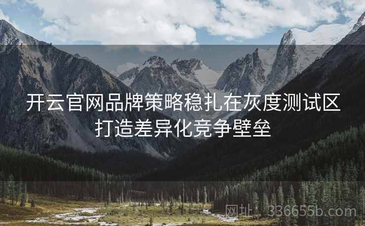 开云官网品牌策略稳扎在灰度测试区打造差异化竞争壁垒
