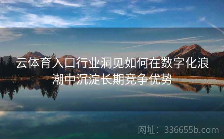 云体育入口行业洞见如何在数字化浪潮中沉淀长期竞争优势