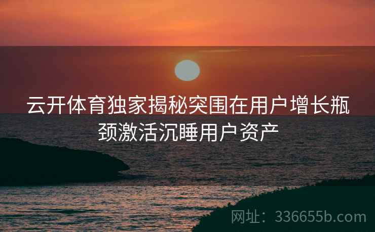 云开体育独家揭秘突围在用户增长瓶颈激活沉睡用户资产