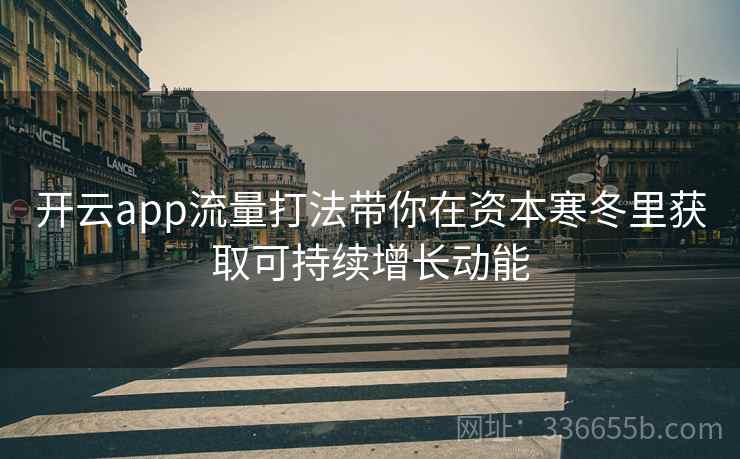 开云app流量打法带你在资本寒冬里获取可持续增长动能