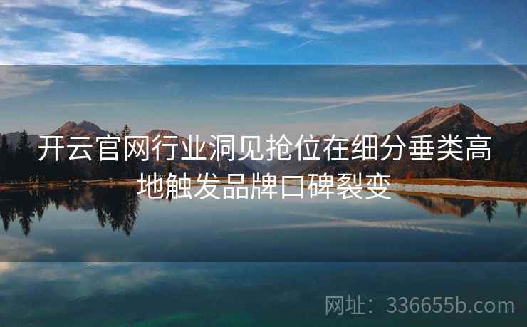 开云官网行业洞见抢位在细分垂类高地触发品牌口碑裂变