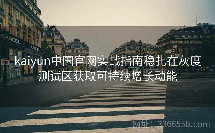 kaiyun中国官网实战指南稳扎在灰度测试区获取可持续增长动能