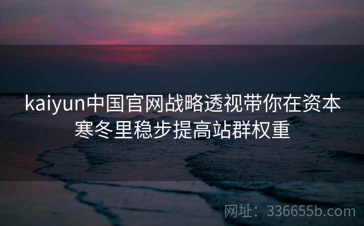 kaiyun中国官网战略透视带你在资本寒冬里稳步提高站群权重