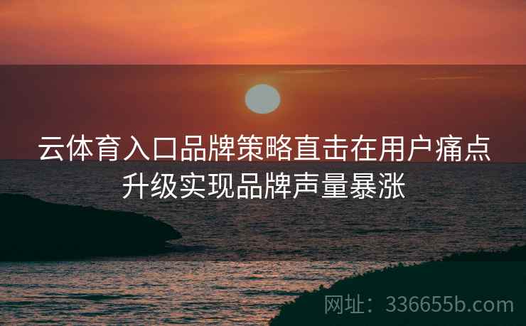 云体育入口品牌策略直击在用户痛点升级实现品牌声量暴涨