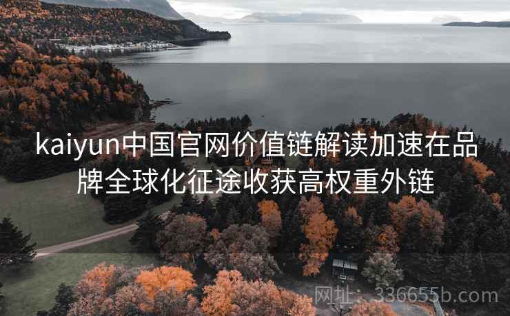 kaiyun中国官网价值链解读加速在品牌全球化征途收获高权重外链